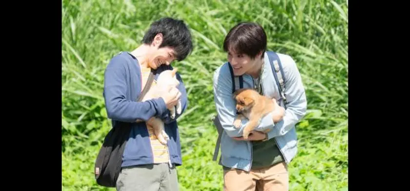 犬部！ 場面写真 1