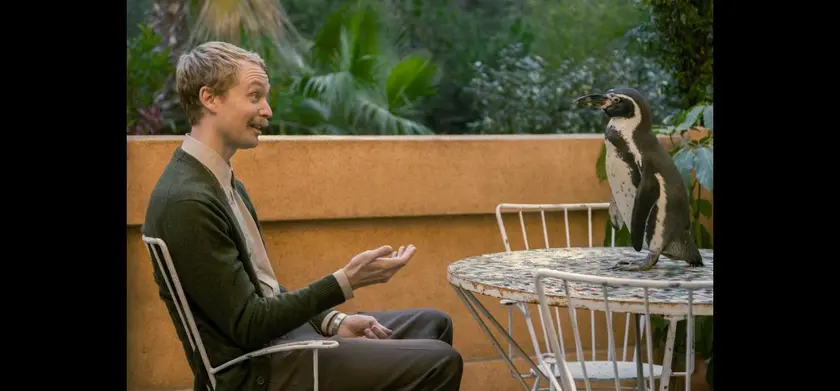 ペンギン・レッスン 場面写真 4
