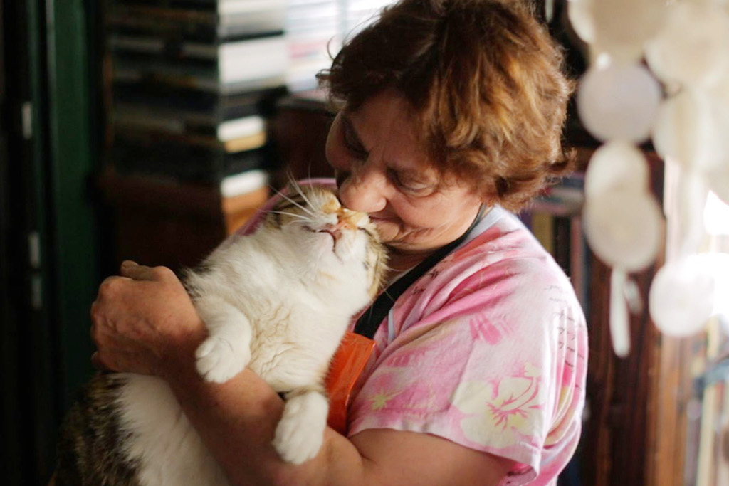 イスタンブールの人々と猫の幸せな交流を描く大ヒット猫ドキュメンタリー、11月日本公開決定