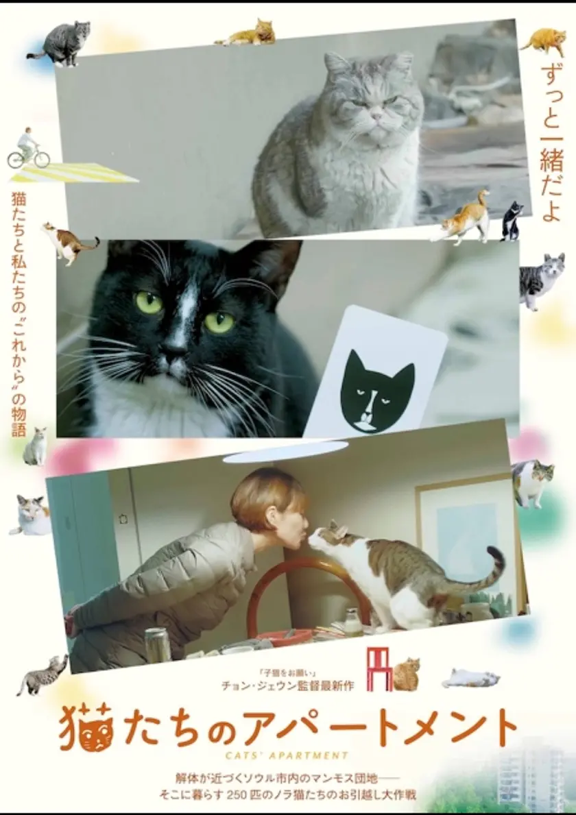 猫たちのアパートメント ポスター
