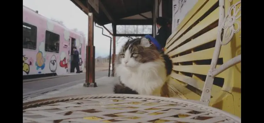 劇場版「にゃん旅鉄道」 場面写真 1