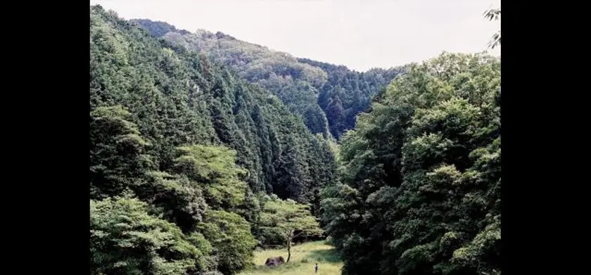 おばけ 場面写真 1